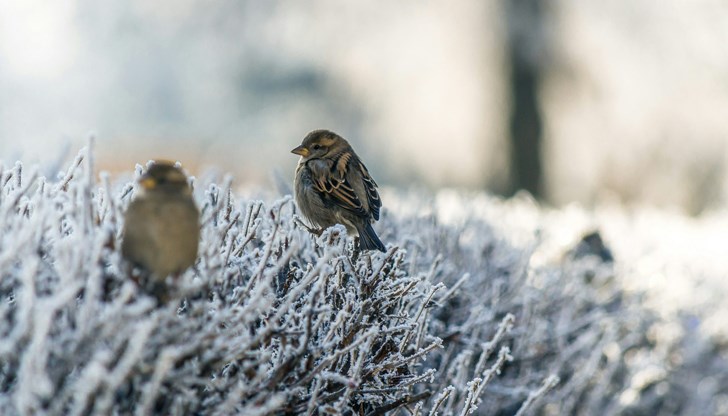 НИМХ: Идва застудяване през почивните дни НИМХ: Идва застудяване през почивните дни