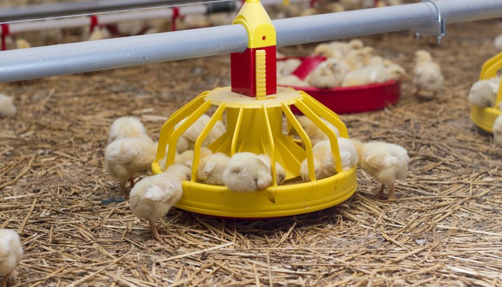 Огънят избухна малко след 10:00 часа днес