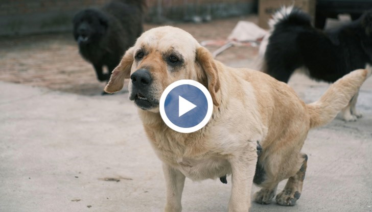 Липсата на адекватни мерки застрашава гражданите