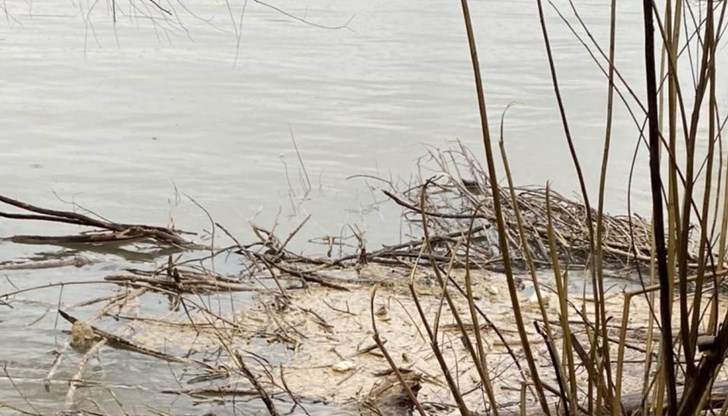 РИОСВ - Русе започва наказателна процедура срещу ВиК заради замърсяването