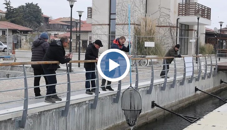 Необичаен природен феномен стресна жителите на морския град