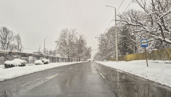 Общественият транспорт се движи по разписание