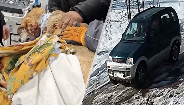 До 4 години затвор и глоба до 5000 грозят извършителите