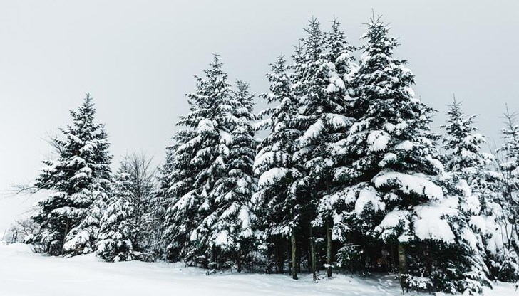 Има опасност от измръзване