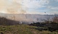 Пожарът край село Мечка е засегнал защитени зони
