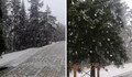 Сняг се сипе на парцали в Родопите