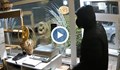 Мъж с маска разби закусвалня в София