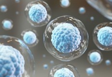 Откритието може да доведе до нови терапии срещу Алцхаймер и