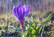 Дъждове обхващат страната но остава топло за сезонаЗначителна облачност и