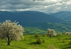 Значителна облачност и валежи очакват югозападните райони докато Североизточна България