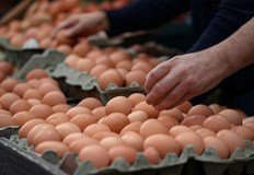 Производителят настоява за справедливо ценообразуване докато от Съюза на птицевъдите