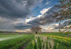 Очакват ни обилни валежи и температурен диапазон от минус 3