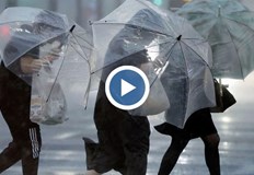 Петър Янков Температурите ще паднат с 10 12 градуса зимата бавно