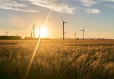 Възобновяемите източници свалиха цената на тока до минус 111 долара