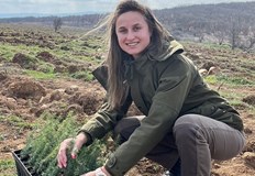 Мащабно залесяване възстановява унищожената от пожар гора в ЕлховскоМащабна залесителна