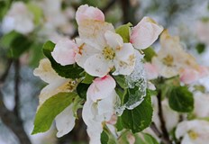 Със силния вятър от северозапад ще продължи да нахлува по студен