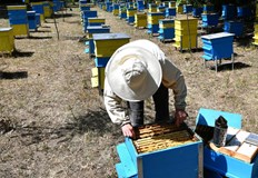 Без спешна подкрепа секторът е заплашен от тотален колапсОбединеният български