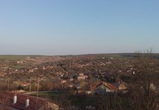 Животното е оперирано във ветеринарна клиникаБездомно куче беше простреляно с