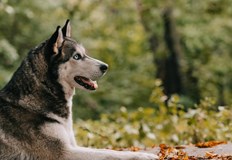 Сдружение КАЖИ инициира отворено писмо до институциите с конкретни искания