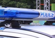 Кражби на животни и измами на възрастни хора разкрити от