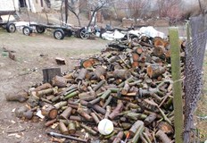 Дървесината е била без контролна горска марка и необходимите документиСъвместна