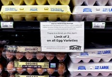 Недостигът на яйца в Съединените щати принуди администрацията на Тръмп