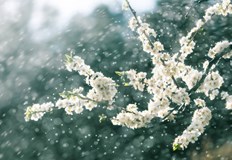 Дунавските райони остават без валежи с най високи температури около 17