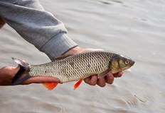 Риболовният сезон набира скоростСезонът за риболов започва да набира скорост