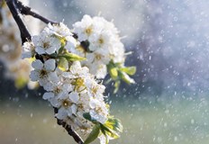 Очакват ни дъждовни почивни дни и застудяване в началото на