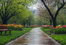 Максималните температури достигат до 22 градуса въпреки валежитеЗначителна облачност и