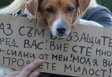 Протестът ще се проведе днес пред Съдебната палатаМасов национален протест