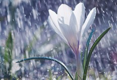 Температурен контраст в неделя – от 28 градуса до градушки