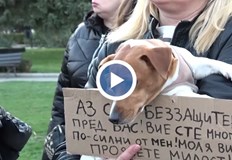 Протестната акция ще се проведе пред Съдебната палата на 11 00