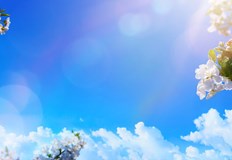 Температурите в страната ще достигнат до 19 градуса на Черноморието