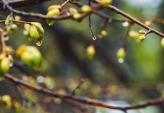 Температурите ще останат сравнително високи за сезонаВ неделя 23 март