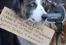 Инспектор Камен Николов Стигне ли се до разследване значи сме