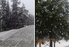 Въпреки настъпването на пролетта бялата покривка се завърна в планинските