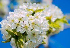 Четвъртък бележи началото на новия сезон с равенство между деня