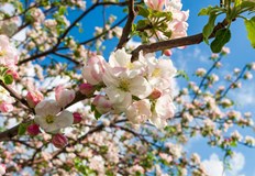 Ясно и слънчево на 21 мартПървият ден на астрономическата пролет