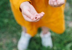 Мария Димитрова Без да искат родителите прекъсват тази връзка което