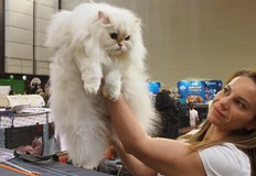 Състезатели от водещи световни развъдници се събират под един покрив