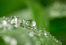 От 6 до 10 април се очакват и интензивни снеговалежи