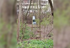 Инцидентът е станал в Южния паркКола падна в Перловска река