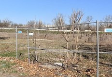 Компанията е изпратила инвестиционно предложение до РИОСВ РусеСлед години