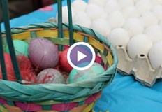 Агнешкото месо остава най скъпият компонент в празничната кошницаМесец преди Великден