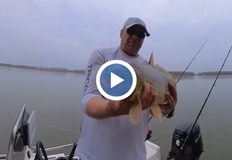 Опитен рибар разкрива тактика за успешен риболов в река ДунавИзвестният