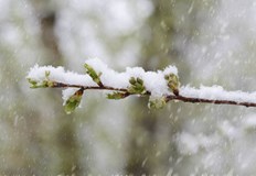 Температурите падат до минус 2 градусаРязка промяна в метеорологичната обстановка