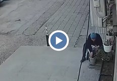 Камери заснеха посегателството над цветята засадени от деца с любов