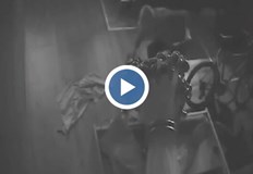 Охранителните камери отново помогнаха за бързото залавяне на извършителяСветкавична полицейска