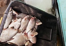 Иззеха риболовни уреди при проверки край река ДунавИнспектори от Изпълнителната